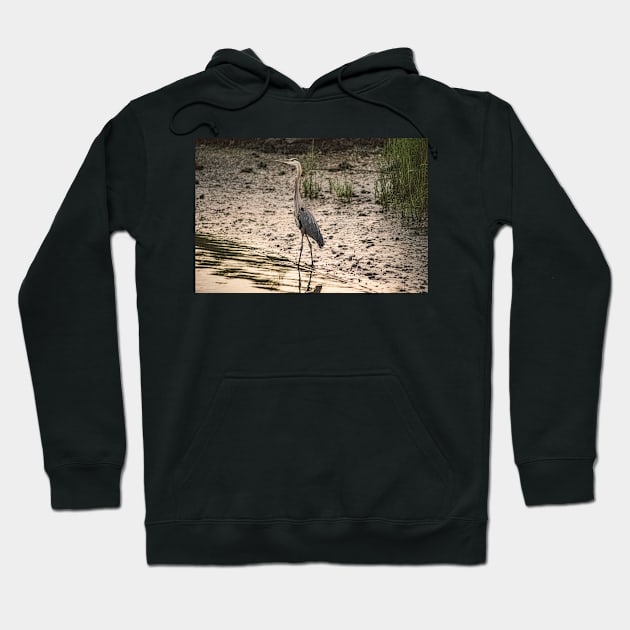 Great Blue Heron in Calabash Hoodie by KensLensDesigns